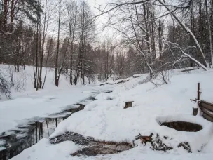 Пробы воды из купели на Боровом соответствуют гигиеническим нормативам